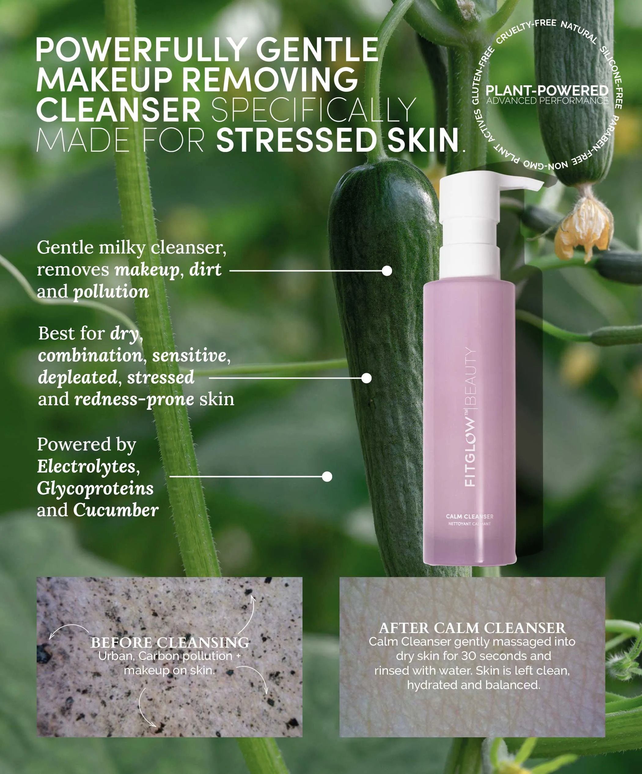 Cloud Collagen Oil