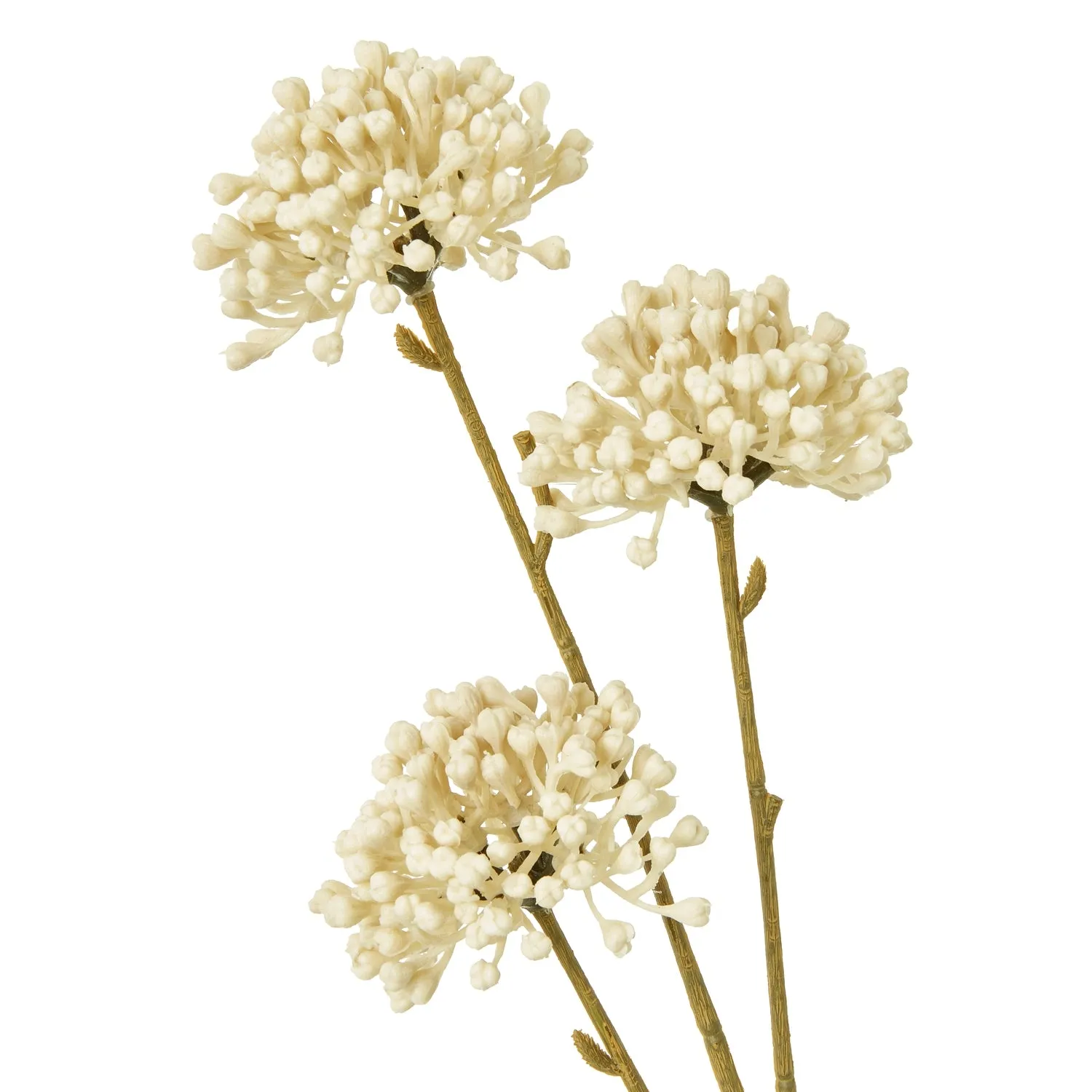 Cream Allium Single Stem Spray